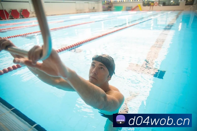 星空网首页入口平台生态图